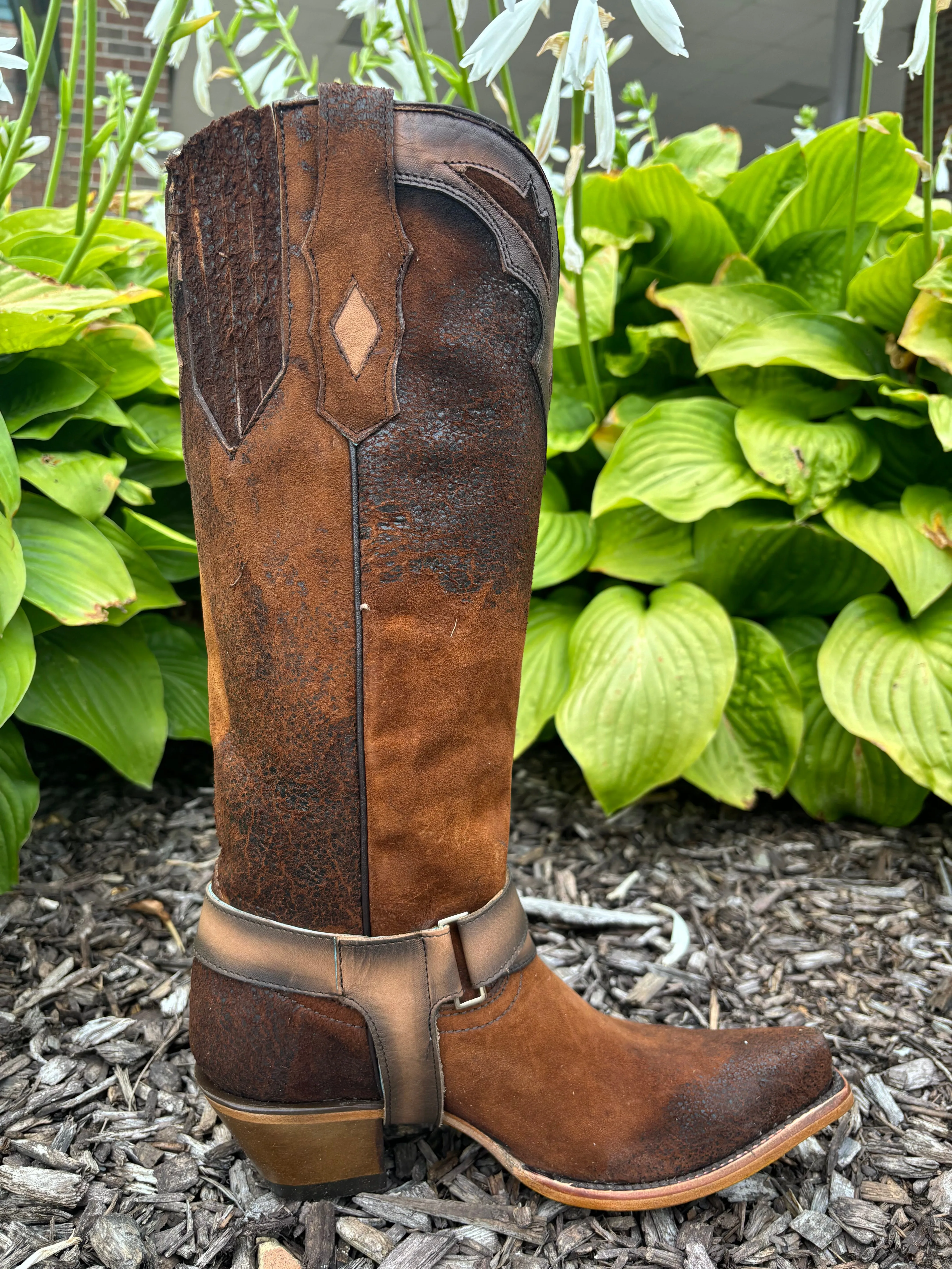 Corral Women's Dark Brown Lamb Embroidery Overlay & Harness Snip Toe Cowgirl Boots F1369