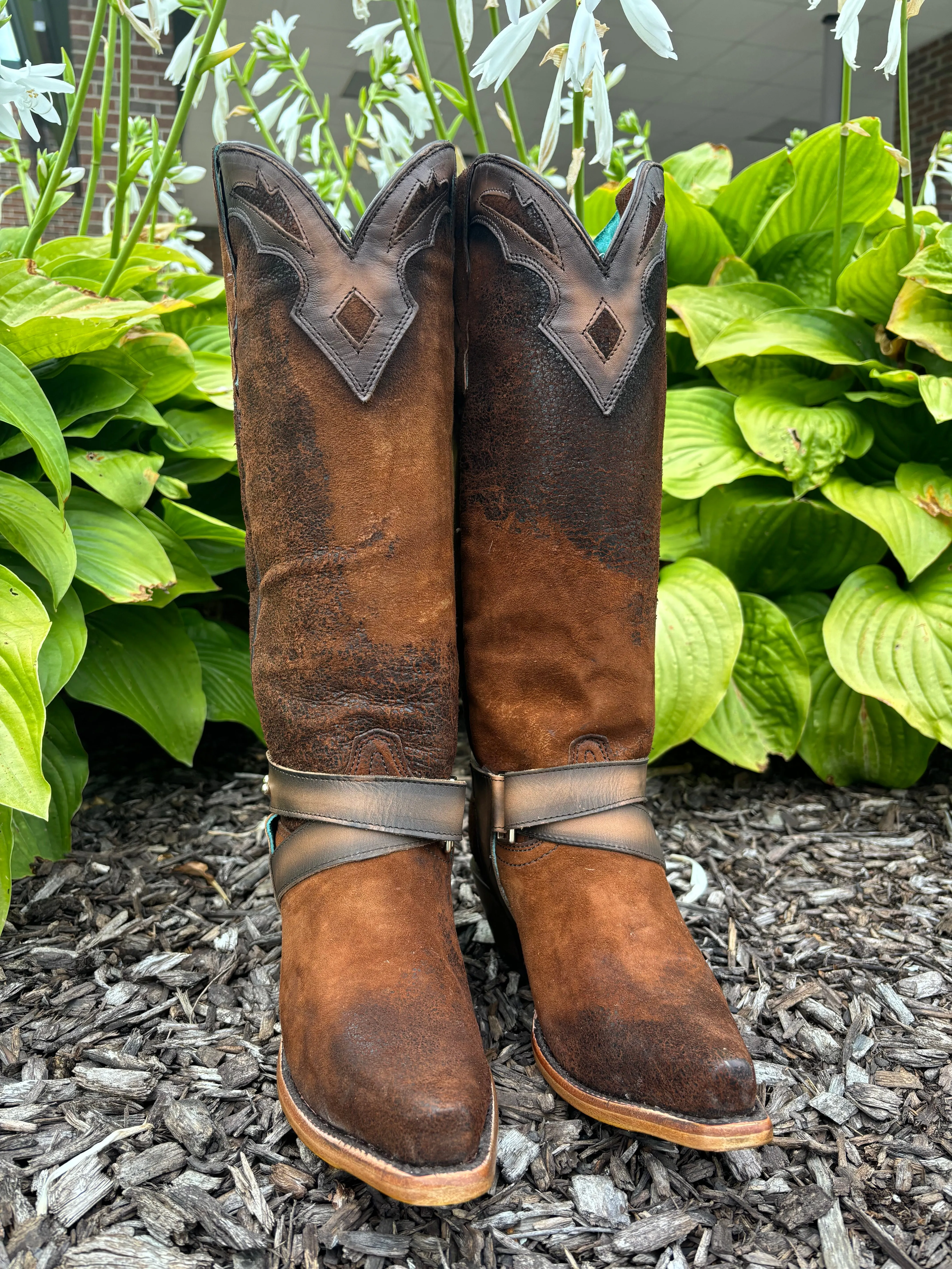 Corral Women's Dark Brown Lamb Embroidery Overlay & Harness Snip Toe Cowgirl Boots F1369