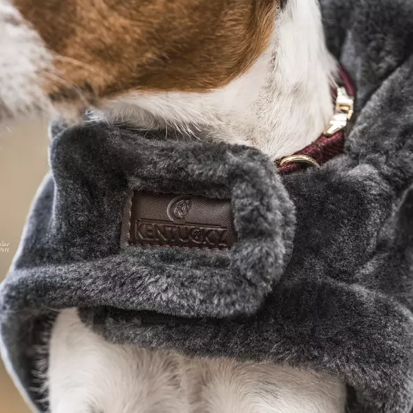 Kentucky Dog Coat Fake Fur - Grey