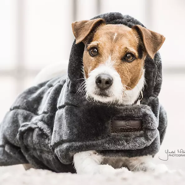 Kentucky Dog Coat Fake Fur - Grey