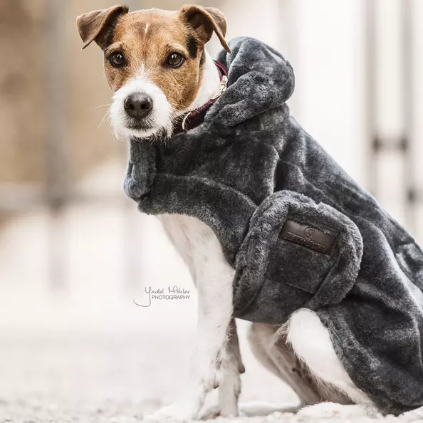 Kentucky Dog Coat Fake Fur - Grey